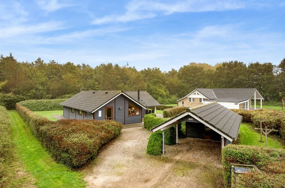 Billede 1