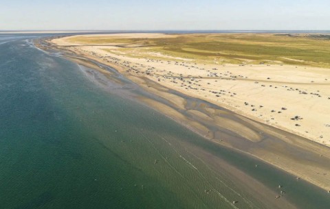 Billede 4