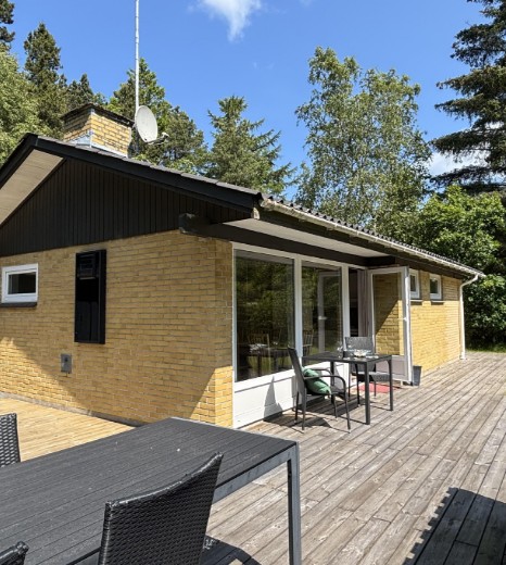Billede 1