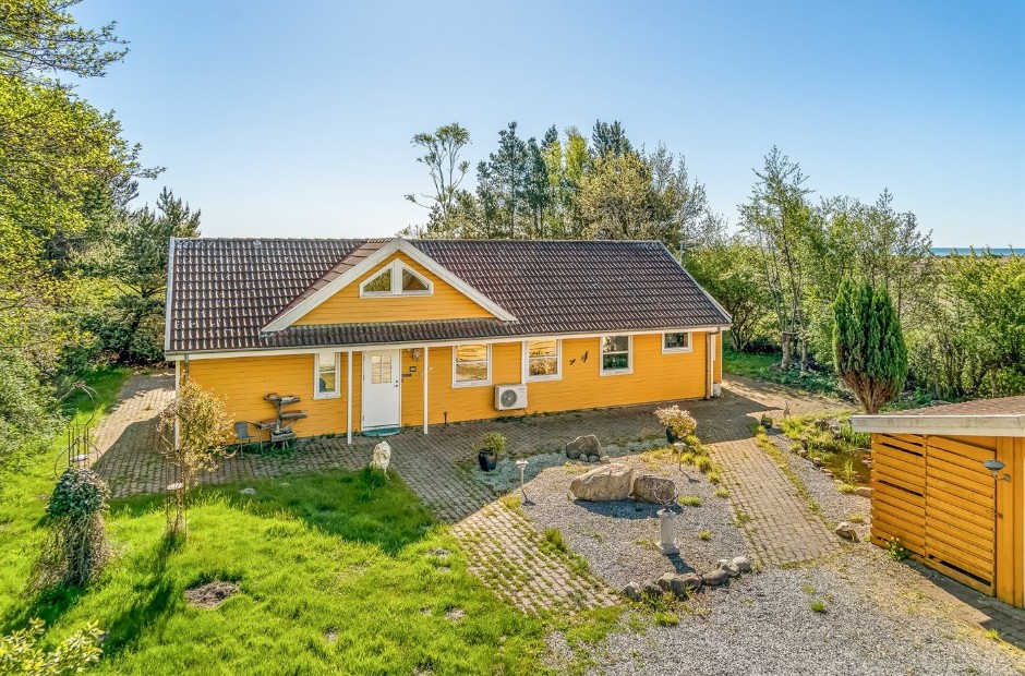 Billede 1