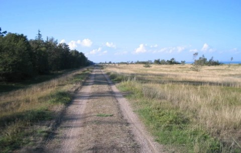 Billede 4