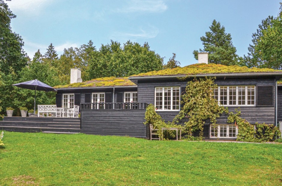Billede 1