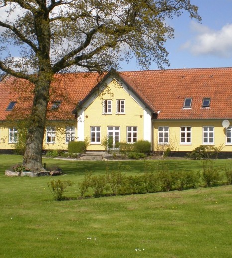 Billede 1