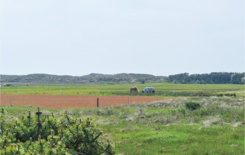 Billede 4