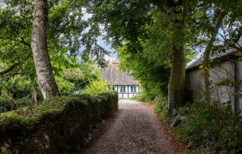 Billede 2