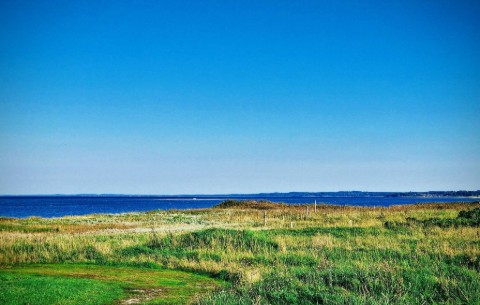 Billede 2