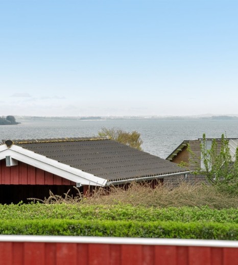 Billede 1