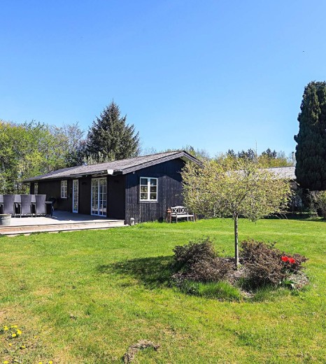Billede 1