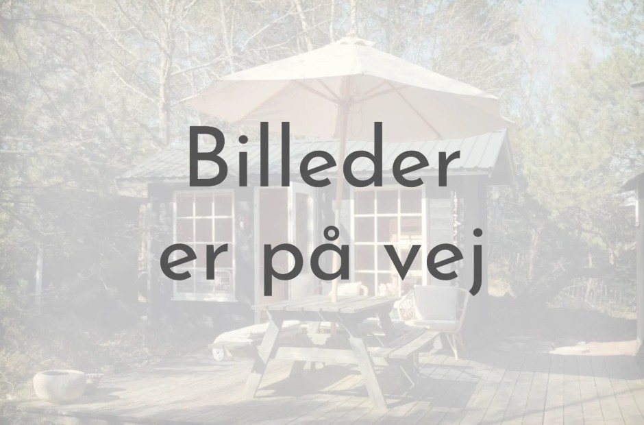 Billede 1