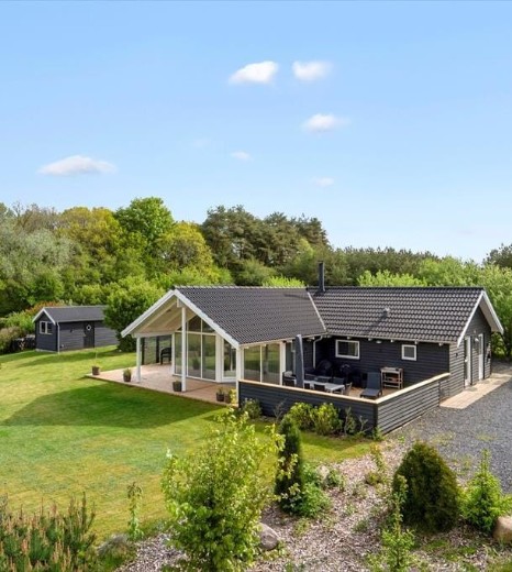 Billede 1