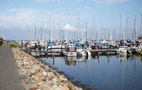 Billede 2
