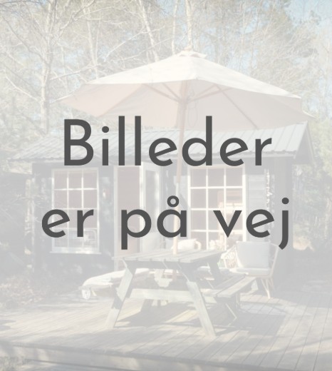 Billede 1