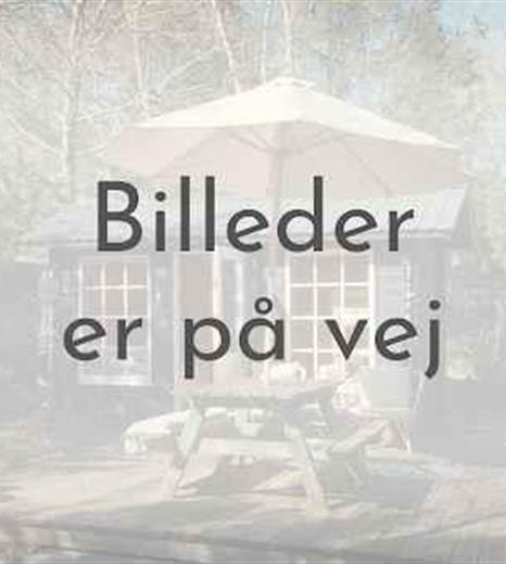 Billede 1