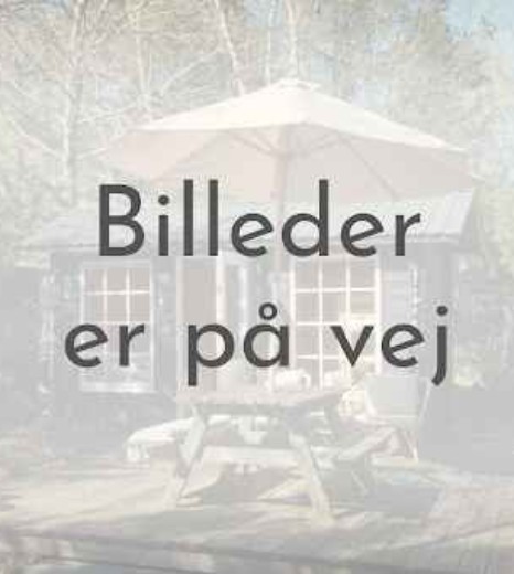 Billede 1