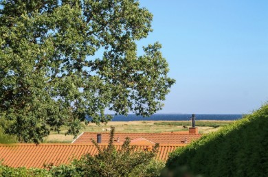 Billede 3