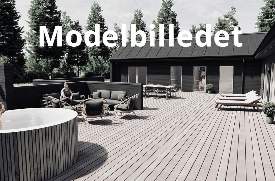 Billede 1